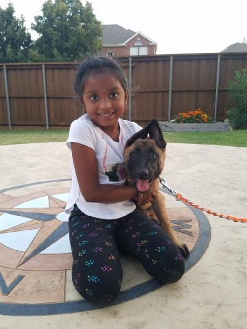 new puppy owner