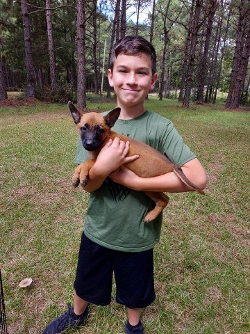 new puppy owner