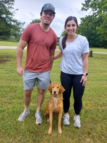 new dog owners