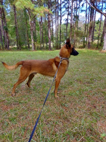 CAJUN
