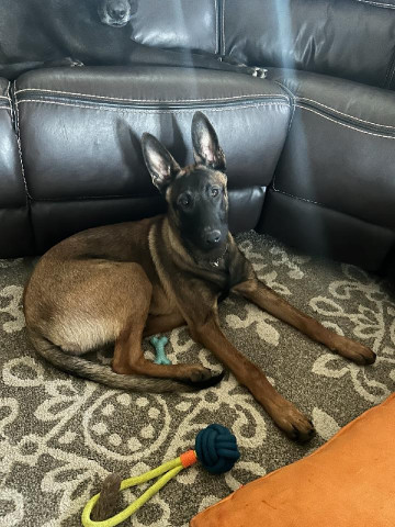 Milo
