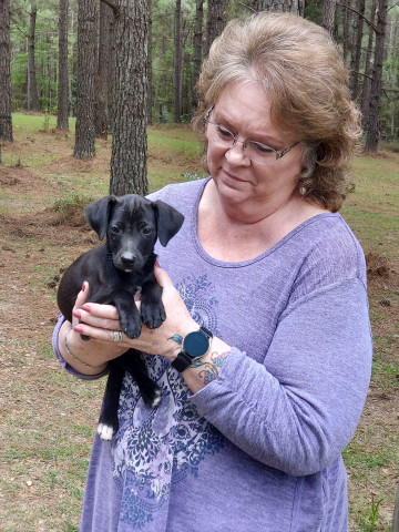 Fiest Puppy