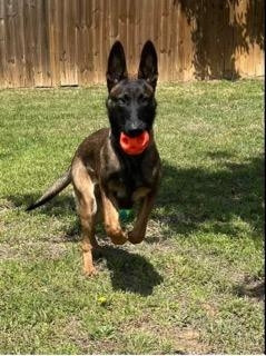 Milo