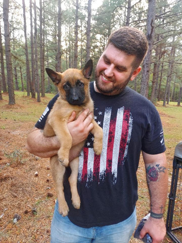 Malinios Puppy