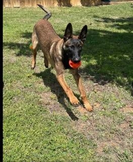 Milo