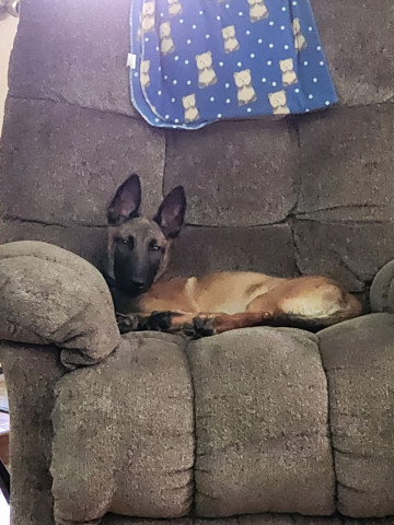 Lilith 4 mths old