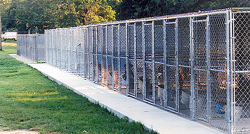 Collier Kennels Boarding