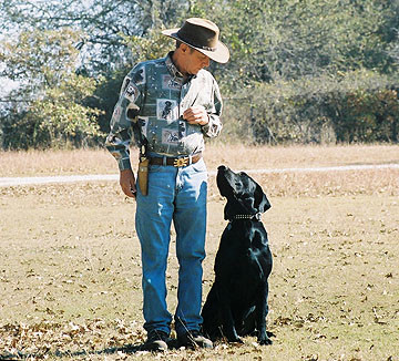 Obedience Training